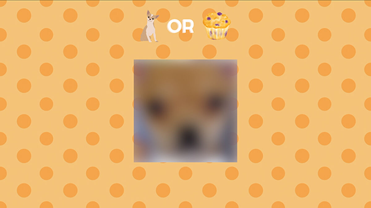 Chihuahua or Muffin - Countdown Video and Game image number null